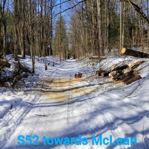 S52 tree cut.jpg